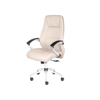 صندلی کارشناسی مدل SKY XS870